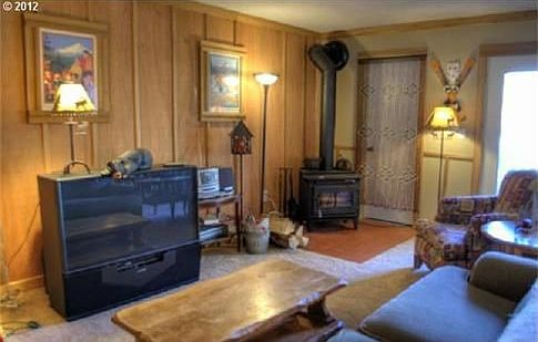 Wood Stove