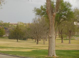 19 Ryan Palmer Ln, Amarillo, TX 79124