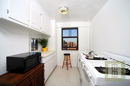 4th image of 383 Grand St APT M1303