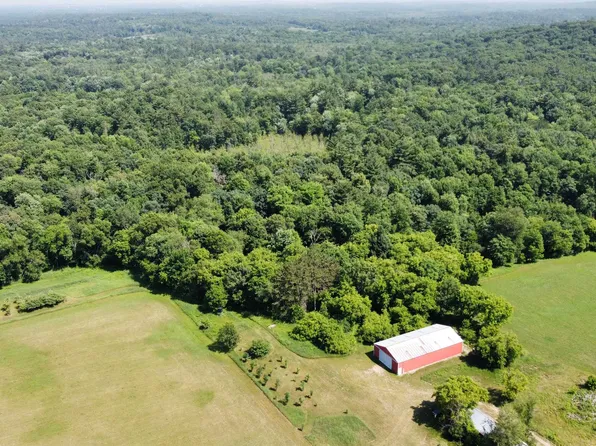 County Road Gg, Iola, WI 54945