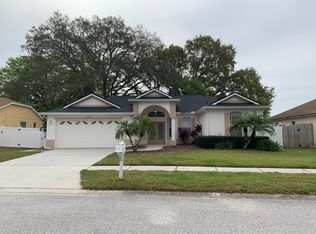 24410 Rolling View Ct, Lutz, FL 33559