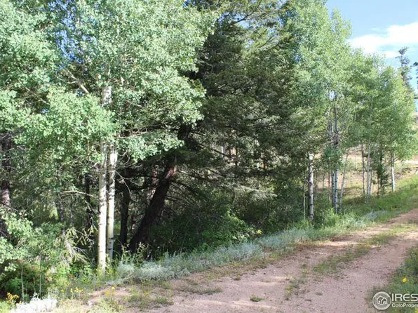 416 Yuki Dr, Red Feather Lakes, CO 80545