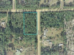 5297 Walnut Ave, Bunnell, FL 32110