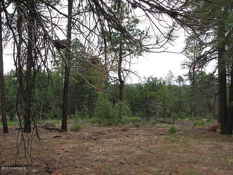 2nd image of 837 Navajo Trl