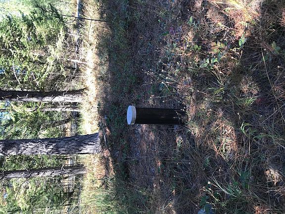 2nd image of Nhn Washington Dr