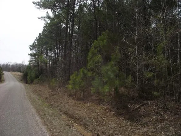 Evans Dr, Adamsville, TN 38310