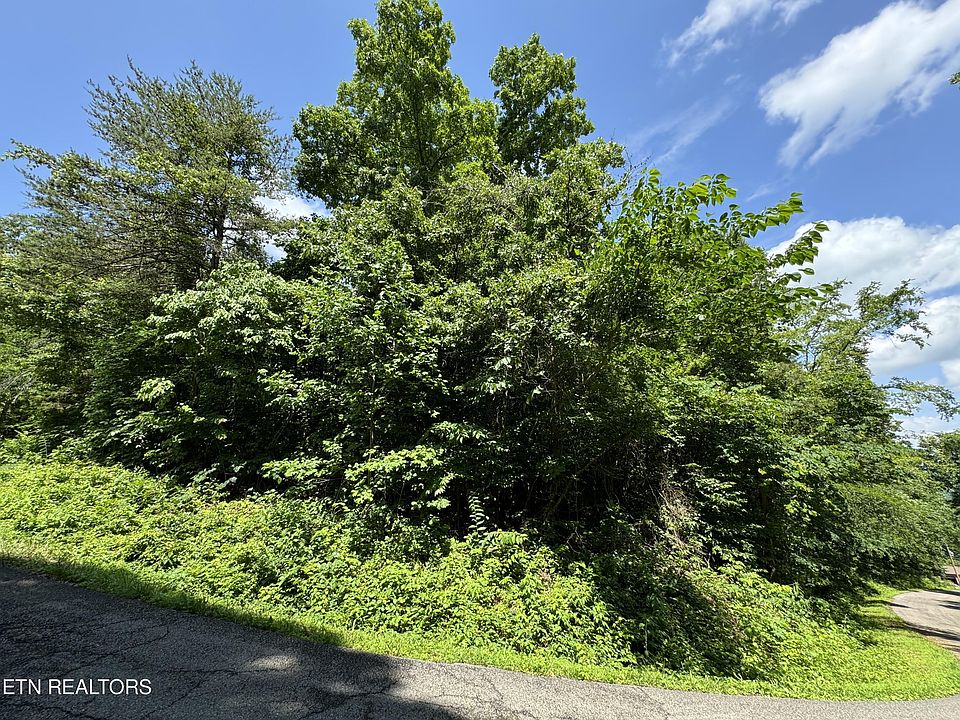 1st image of 254 Scenic Hill Ln