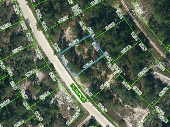 355 Wildwood Dr #9, Lake Placid, FL 33852