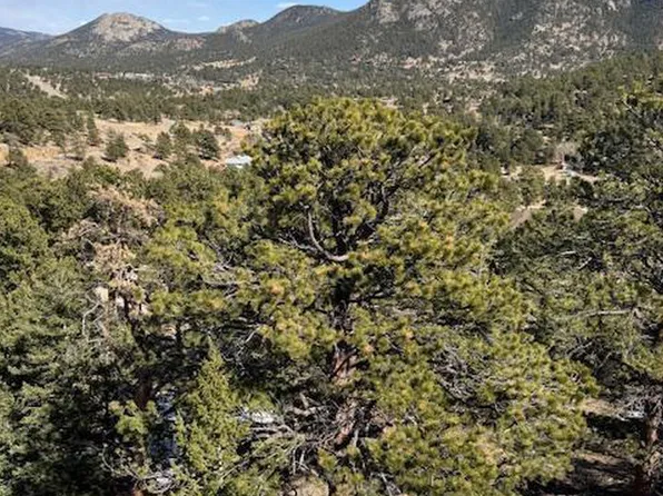 345 Green Pine Ct, Estes Park, CO 80517