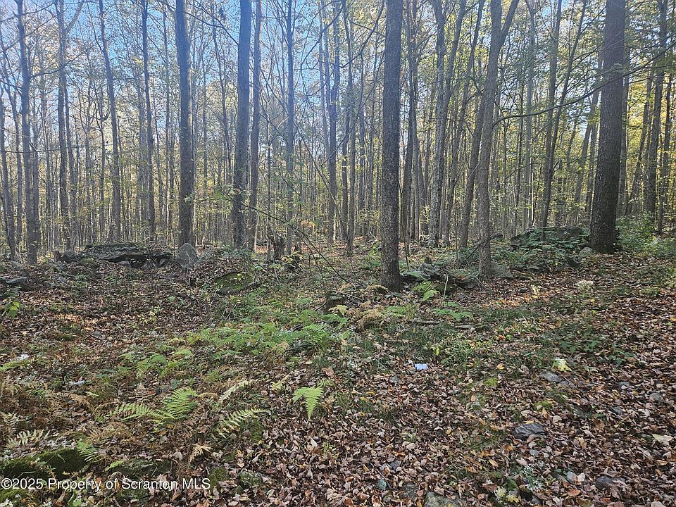 10th image of this home