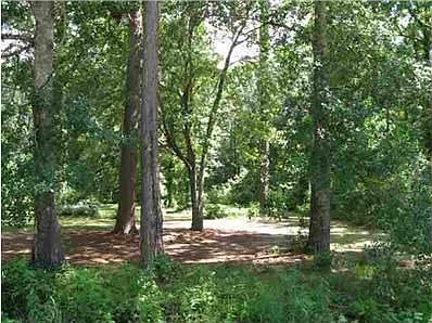 1st image of 4741 Dick Mitchell Dr