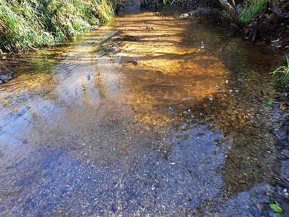 2nd image of E Antler Rd