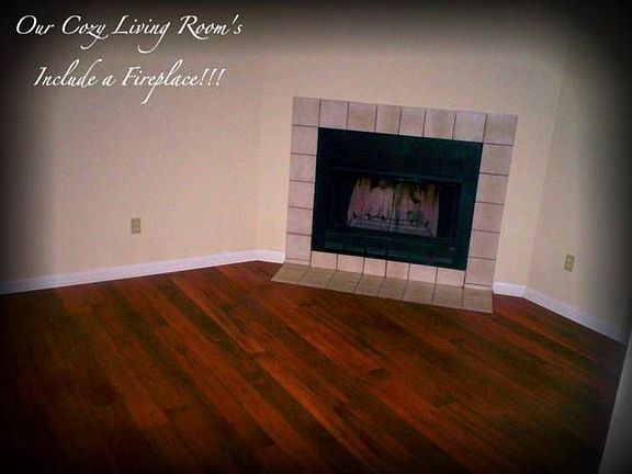 Wood burning fireplace
