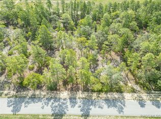 7 Fringetree Ct, Homosassa, FL 34446