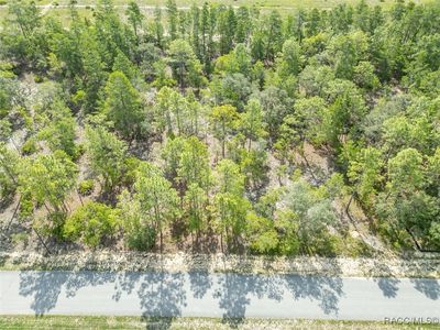 7 Fringetree Ct, Homosassa, FL, 34446