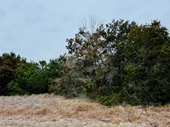 11101 Juniper Dr, Whitney, TX 76692