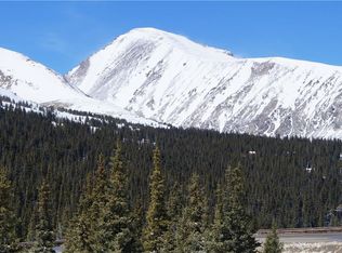 517 Hamilton Ln, Silverthorne, CO 80424