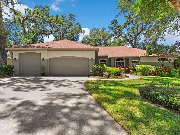 1102 Hunt Club Ln, Valrico, FL 33594