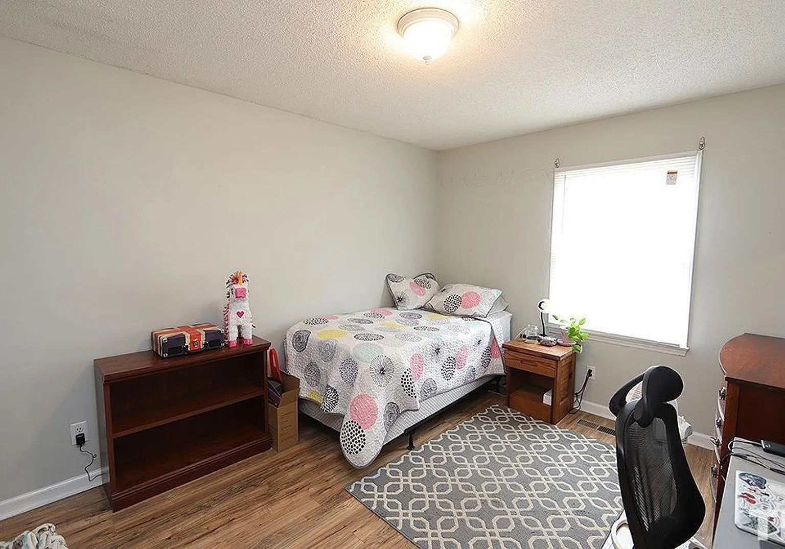 Great home in Carrboro — Photo 3