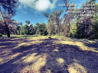 41653 W Portier Rd, Ponchatoula, LA, 70454