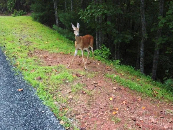 Lots 11/12 South Pointe Rd, Mill Spring, NC 28756