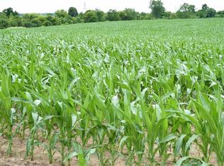 15686 Muirkirk Line, Chatham Kent, ON N0L 1X0