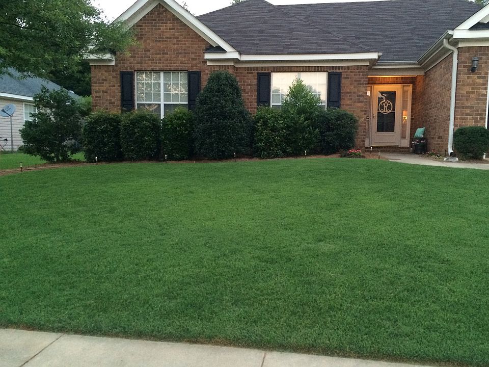 Summer Lawn