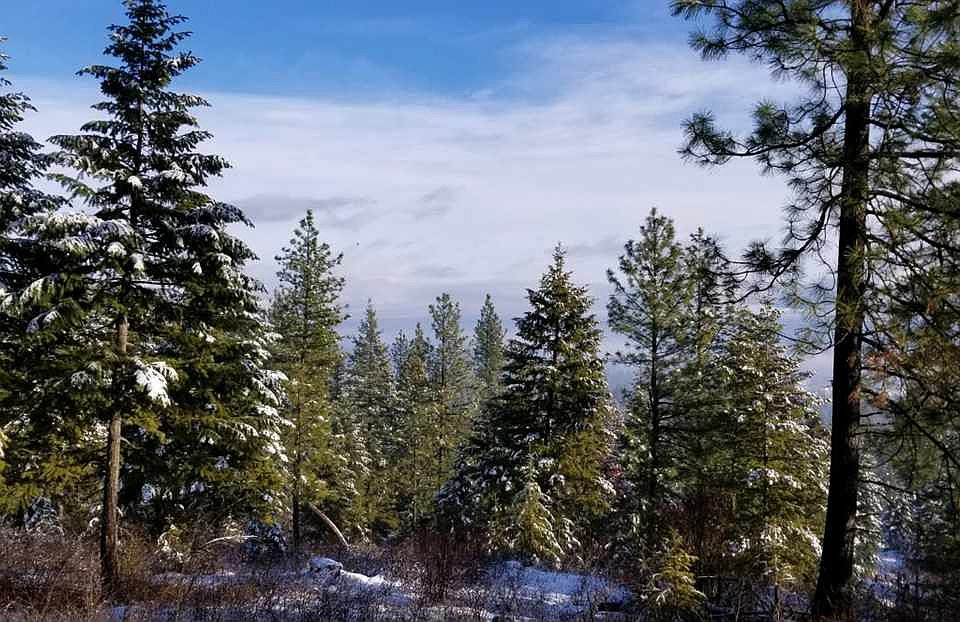 1st image of 4885 Forest Haven Way