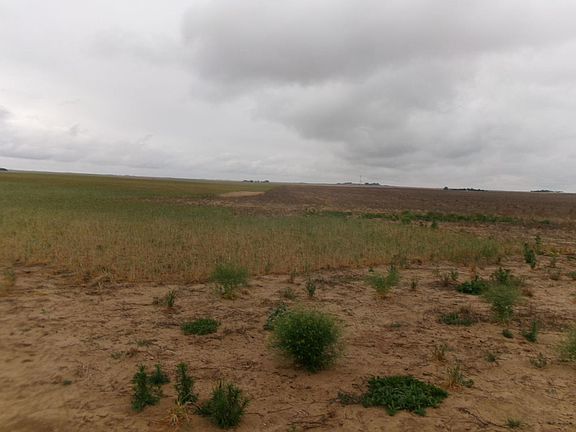 4th image of 0 Road 8