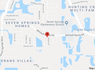 3205 Payne St, New Port Richey, FL 34655