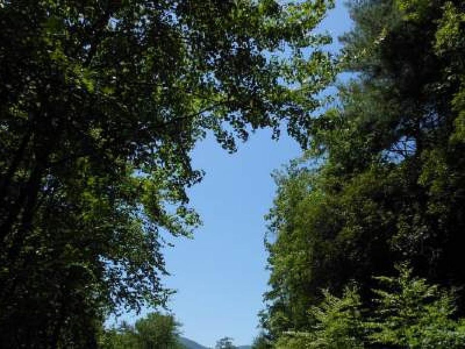 2578 Lucius Rd Cherry Log GA Zillow