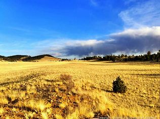 3141 Fitzsimmons Rd, Hartsel, CO 80449