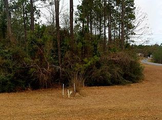 84 Spring Oak Dr, Carriere, MS 39426