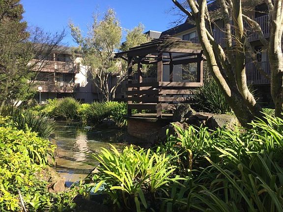 3rd image of 3248 Shelter Creek Ln