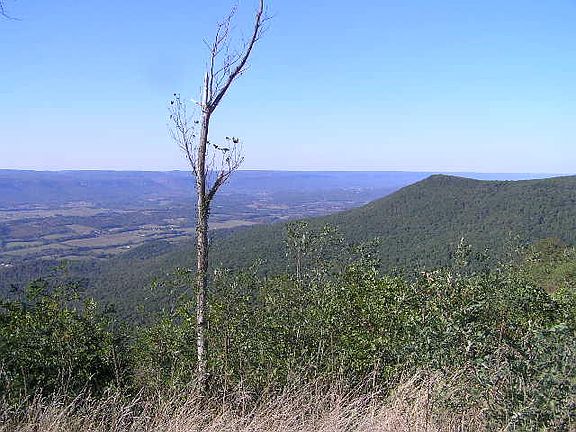 2nd image of 163 E Raven Crest Trl Unit 10
