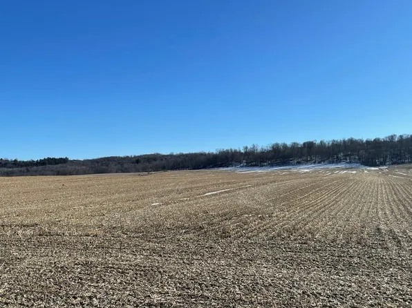 74.33 Hwy 136 & Buckeye Rd, Reedsburg, WI 53959