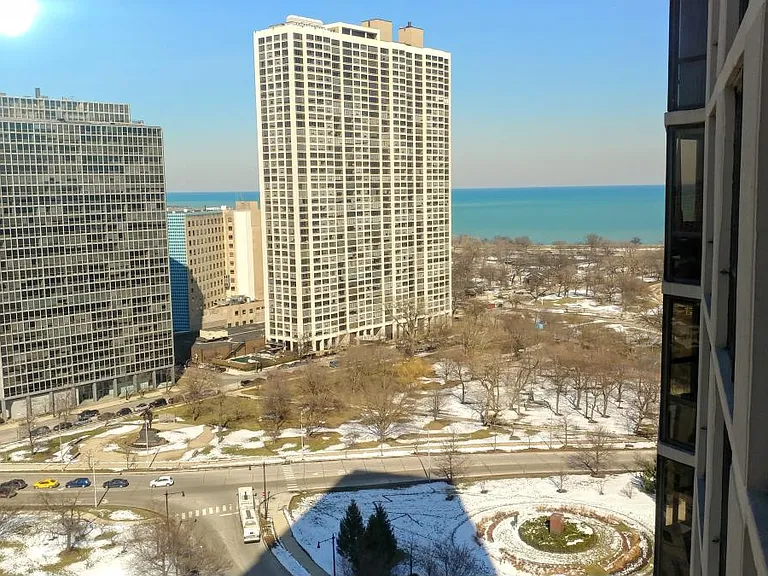 2650 N Lakeview Ave #2207 — Photo 8