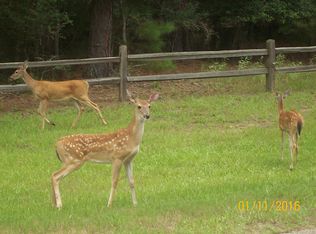 36122 Quiet Frst, Magnolia, TX 77355