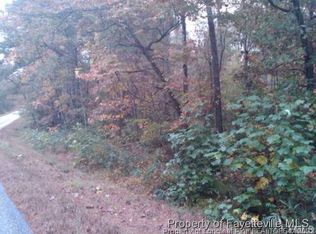 17 McLean Chapel Church Rd, Bunnlevel, NC 28323