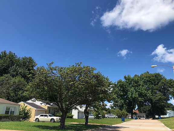 4th image of 9846 Eastdell Dr