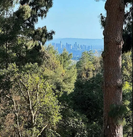 5237 Alta Canyada La Canada — Photo 28