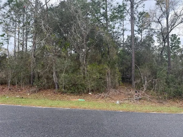 0 Fir Drive Trak Lot 13, Ocala, FL 34472