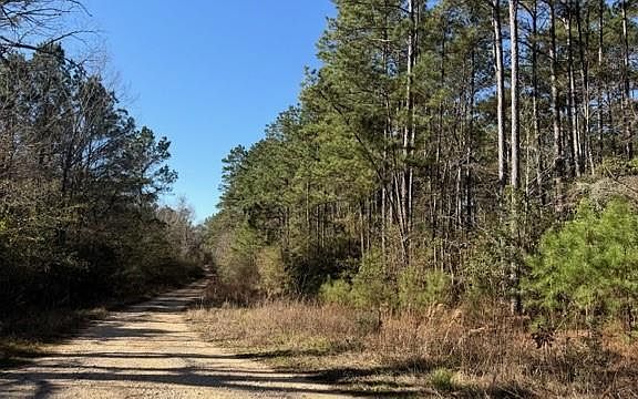 5th image of Preacher Denson Rd