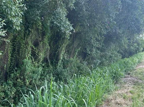 0 NE 13th Avenue, Okeechobee, FL 34972