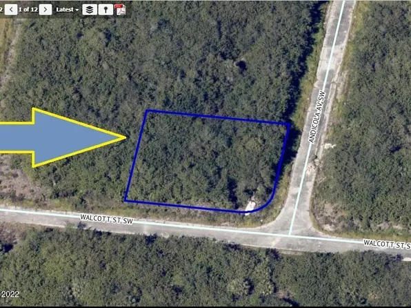 897 Walcott St SW Lot On, Palm Bay, FL 32908
