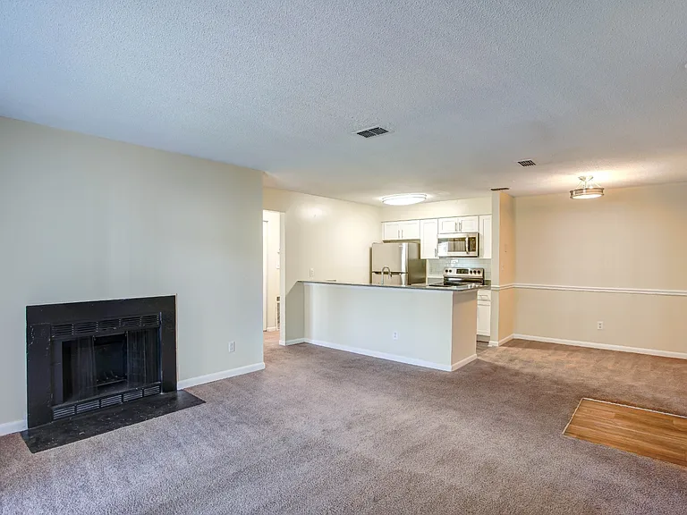 Bluff Ridge — Photo 10
