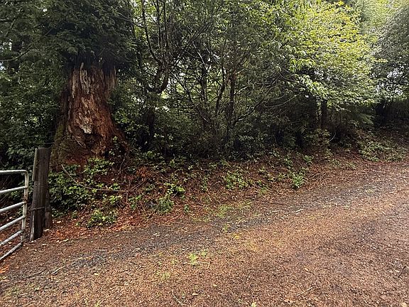 3rd image of Terrace Dr