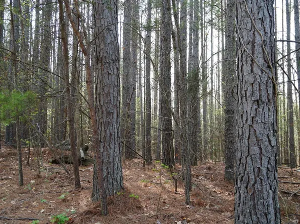 136 Booker Rd Lot 74-74A-78, Brookneal, VA 24528