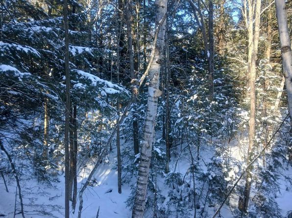 40 Acres Off Cres #550, Big Bay, MI 49808