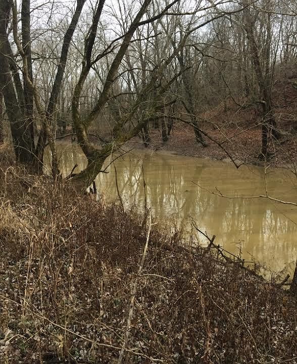 2nd image of W River Rd